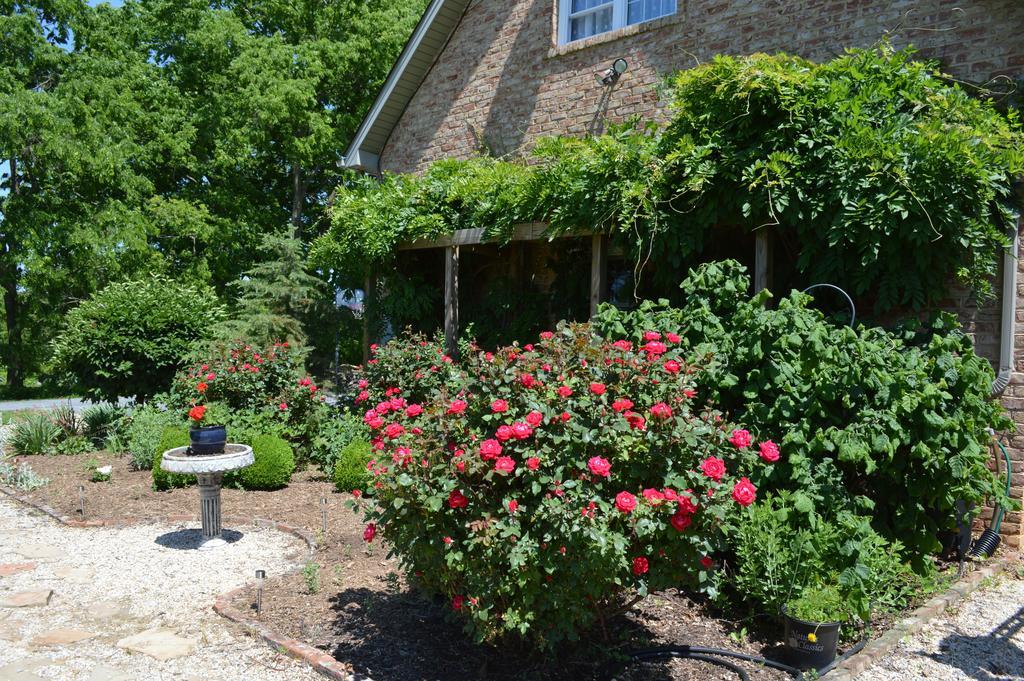 Rose Cottage Bed & Breakfast Fairplay 외부 사진